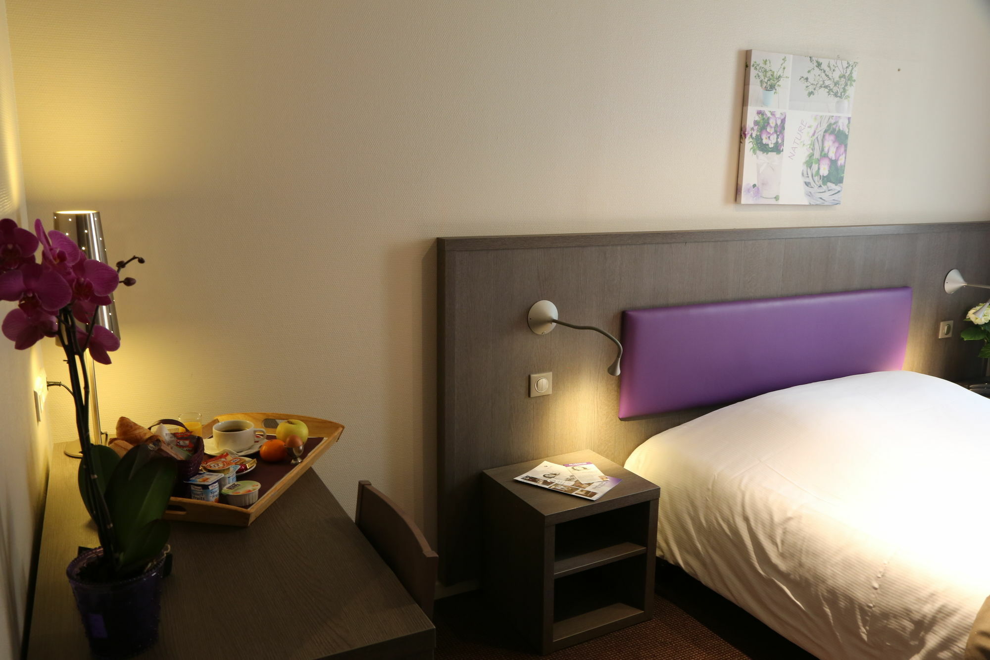 Icone Hotel - Annecy Zewnętrze zdjęcie